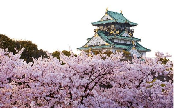 【花現三都影城和服體驗5日】