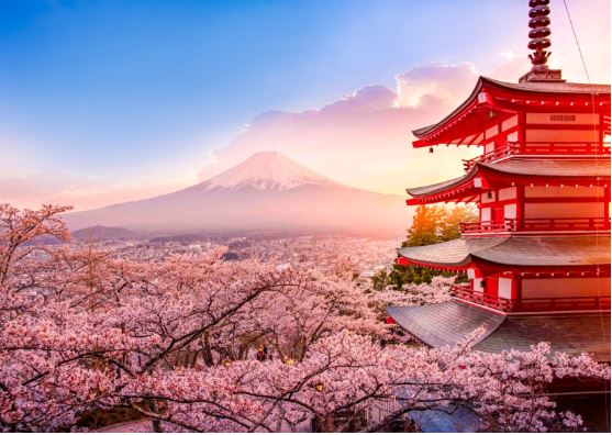 【東京戀櫻花五日】<br/>川越小江戶、輕井澤單車遊、長腳蟹吃到飽、富士五湖溫泉