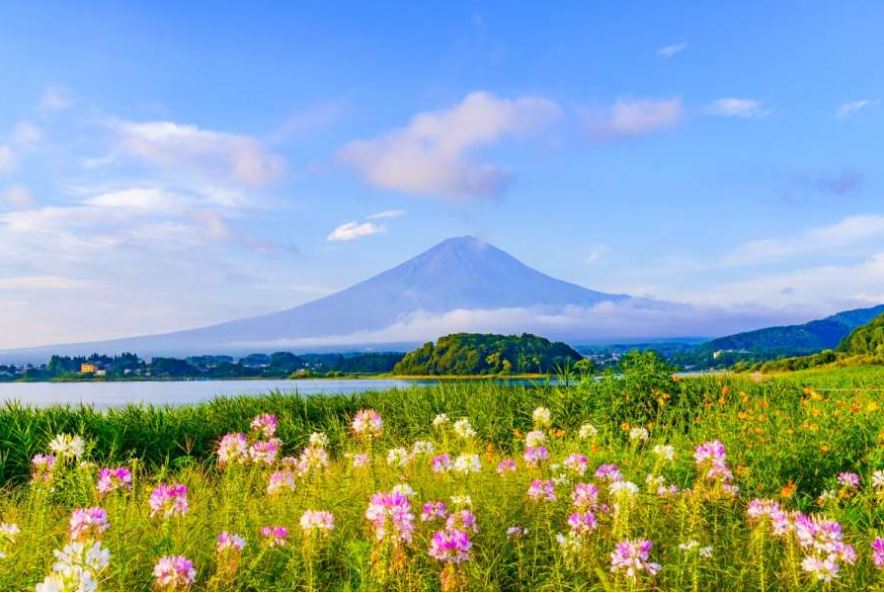 【悠活東京輕井澤富士山三溫泉５日】<br/>《贈三大蟹吃到飽》