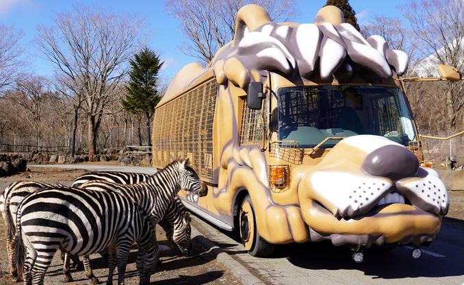 【雙饗宴~東京迪士尼5日】<br/>富士野生動物園.晴空塔.敘敘苑燒肉.長腳蟹吃到飽