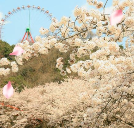 【櫻雪東京遊迪士尼5日】