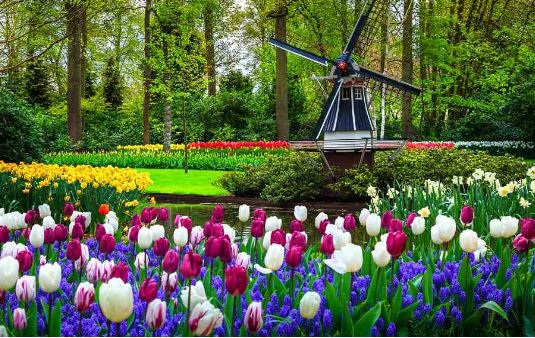 【魅力歐洲荷比盧9日】