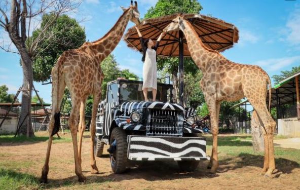 【泰愛曼芭5日】