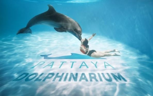 【賀歲泰國5日、預購減3000】