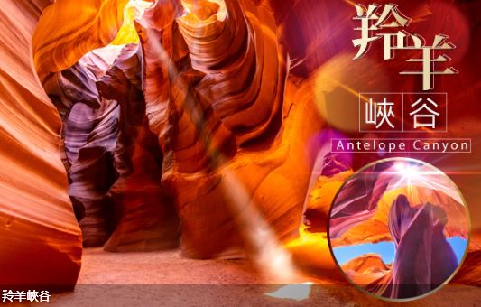 【美西三城喜迎春9日】