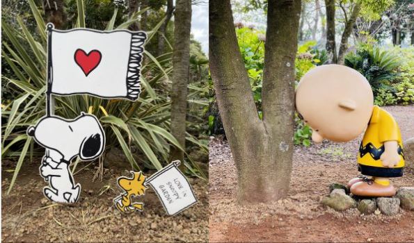 【百萬網紅遊濟州5日】