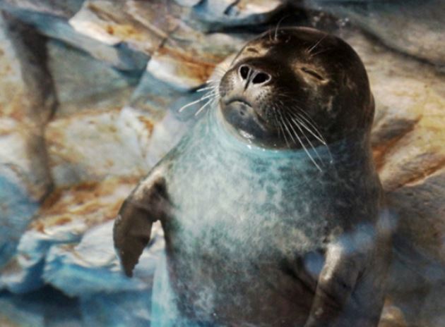 【賀歲濟州5日、預購減3000】