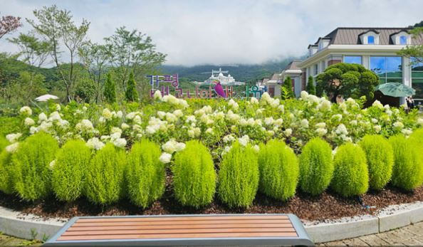 【韓國發燒賣(松山/金浦)】