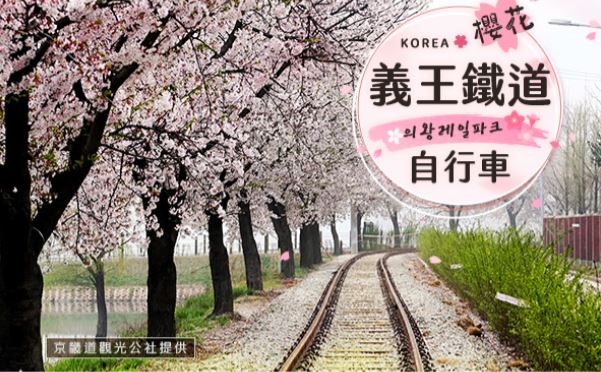 【韓國櫻紛飛5日】