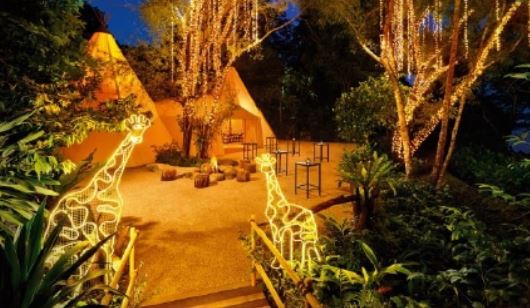 【賀歲新馬5日、預購減3000、兒童不佔減1萬】