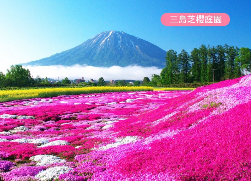 【北海道櫻花浪漫雙溫泉5日】