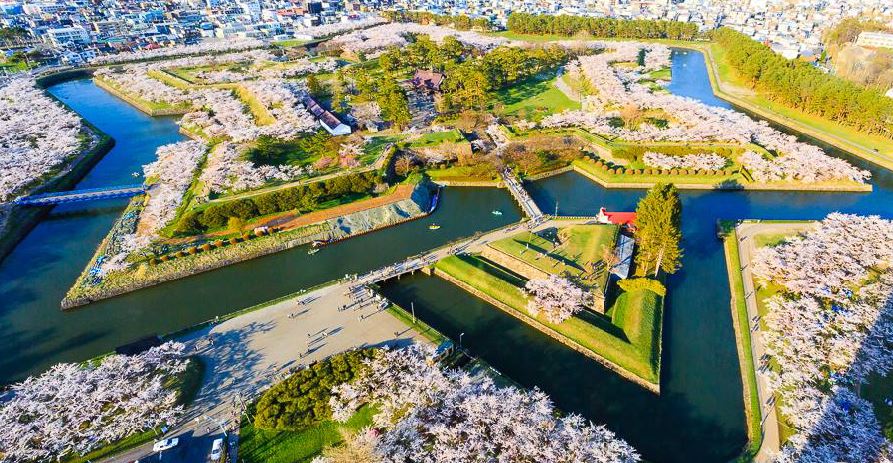 【戀上櫻花北海道三溫泉5日】