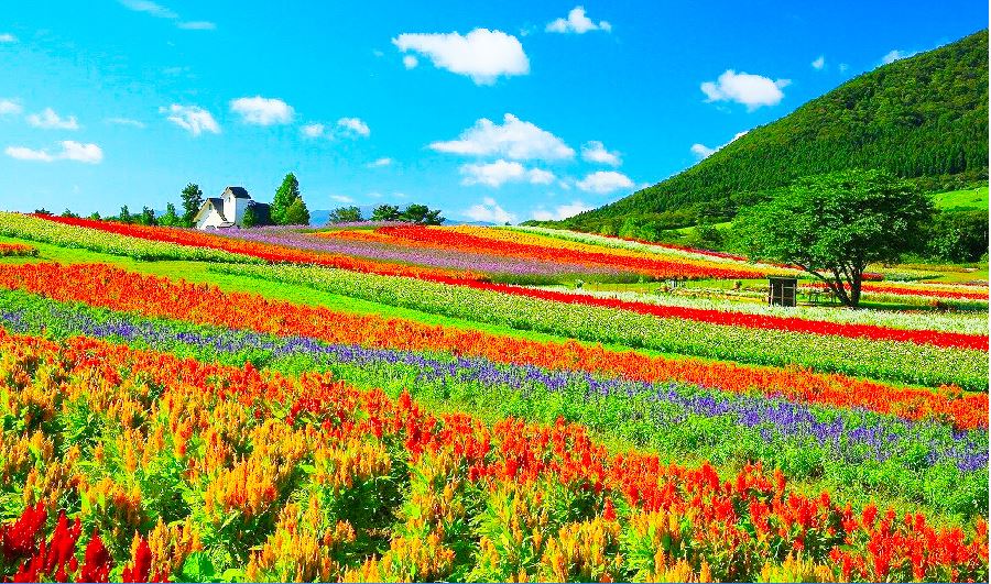 【東北五色沼夢旅5日】